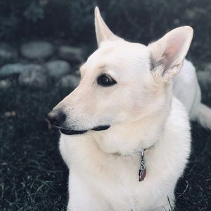 Meet your Posher, Pam